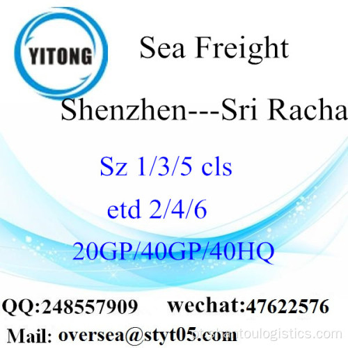 Shenzhen Port Sea Freight Shipping para Sri Racha